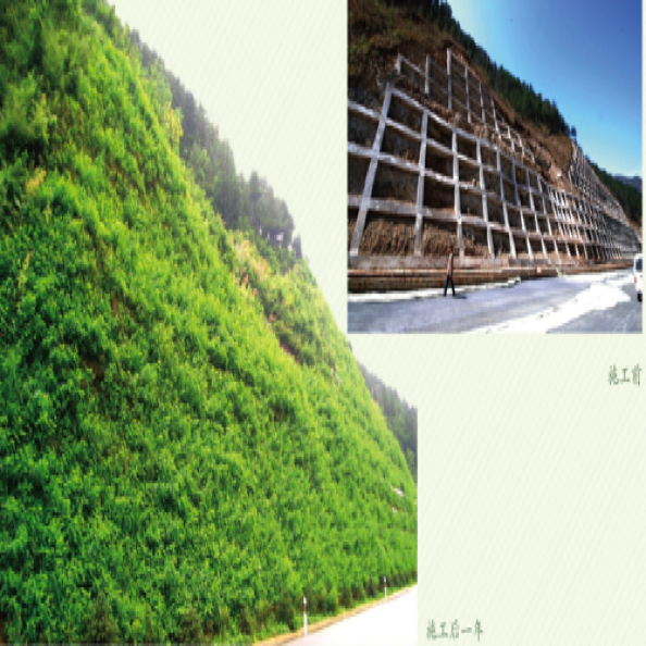边坡生态修复设计与施工
Design & construction for slope ecological restoration 边坡生态修复设计与施工
Design & construction for slope ecological restoration
